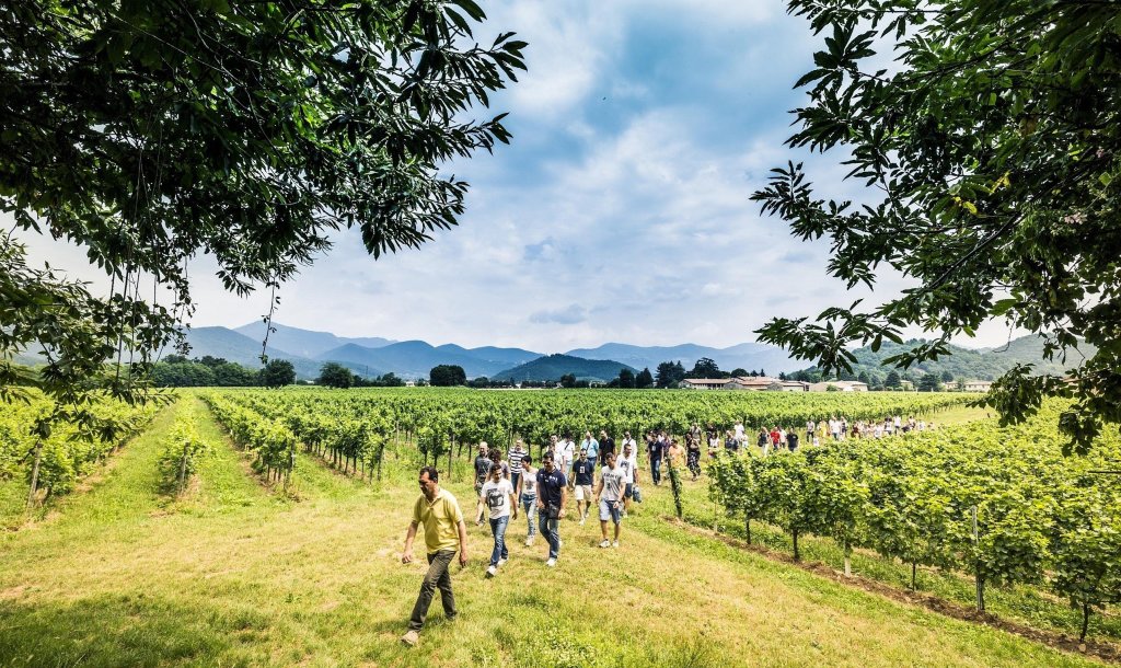 3 Festival Franciacorta Estate_ph N.Tirelli