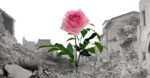 convegno-forza-di-rinascere-immagine-rosa