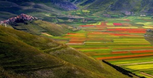 piana-di-castelluccio-di-norcia